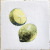 Fabresa Forli Fruits Decor Mix 20x20