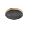 Hansgrohe 26231140 Rainfinity 360 1jet Hlavová sprcha pod strop, kartáčovaný bronz