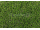 Lano umelý trávnik Star Lawn Castor výška 32mm šírka 2m Lúčna Zelená