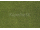 Lano umelý trávnik Star Lawn Daisy výška 40mm šírka 2m Zelená